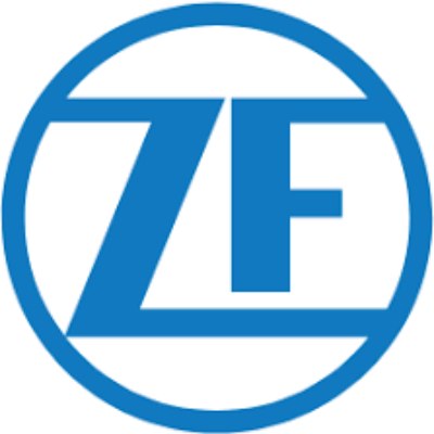 Does ZF Drug Test?